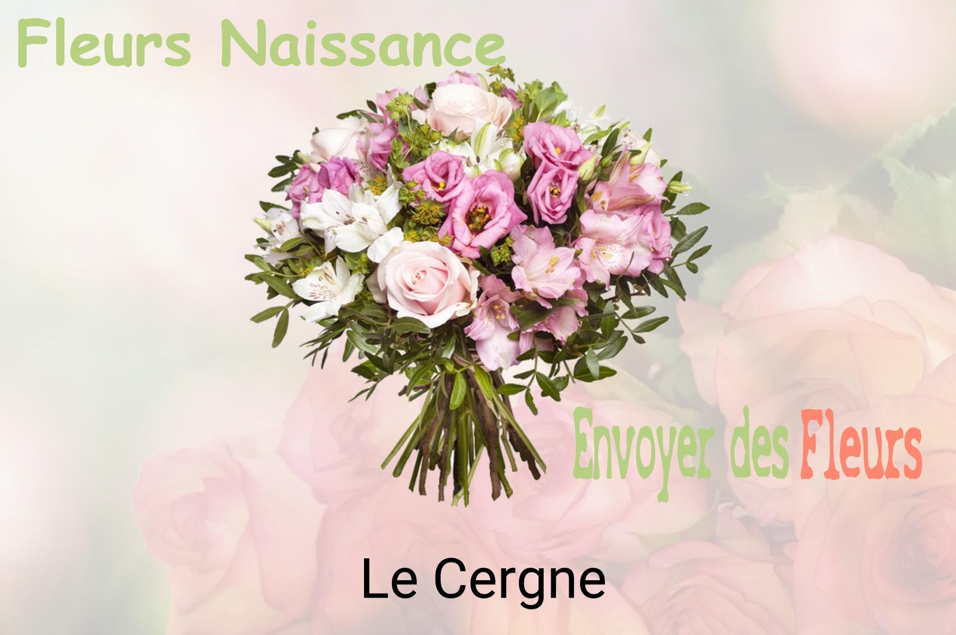 Bouquet de fleurs de naissance livré à Le Cergne