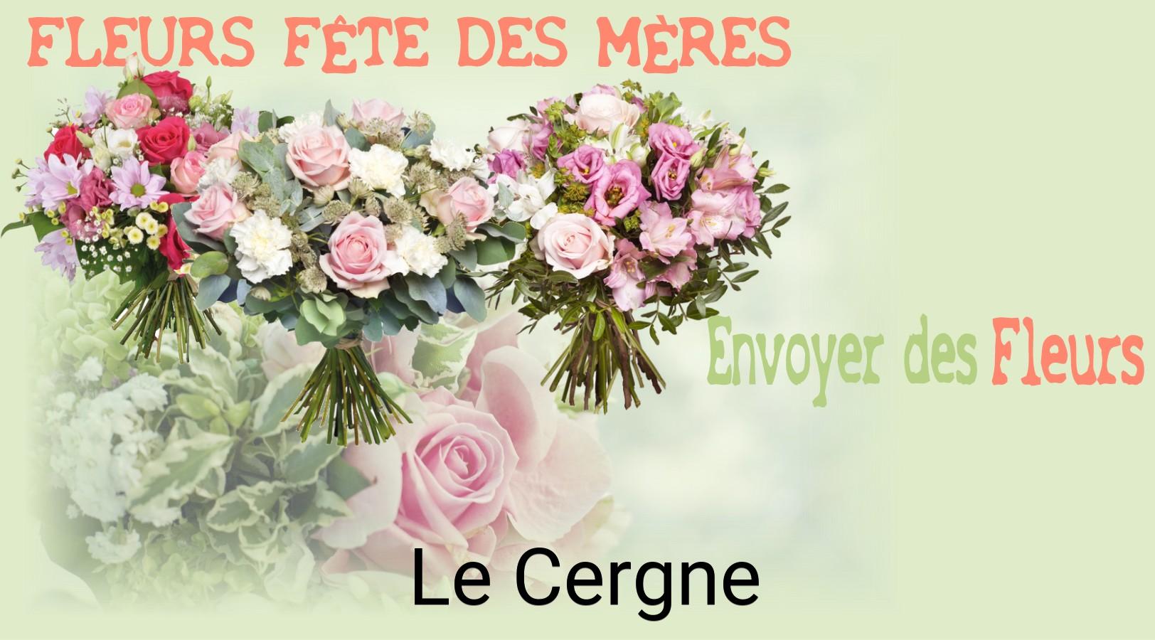 Bouquet de Fête des Mères livré à Le Cergne